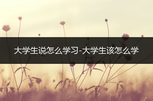大学生说怎么学习-大学生该怎么学