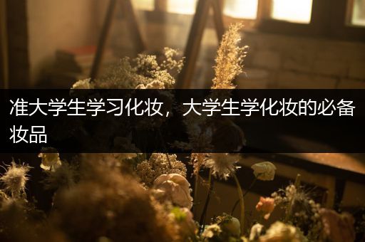 准大学生学习化妆，大学生学化妆的必备妆品