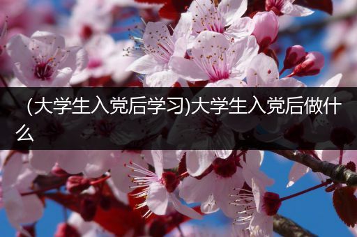 （大学生入党后学习)大学生入党后做什么