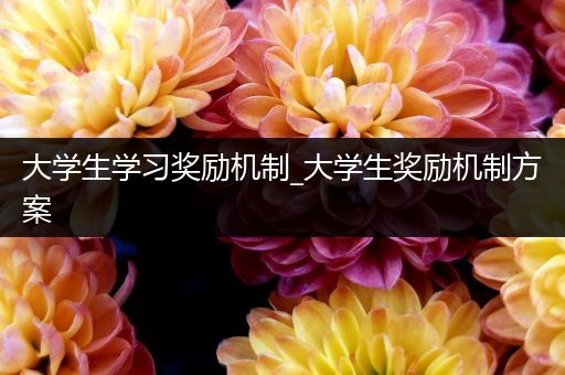 大学生学习奖励机制_大学生奖励机制方案
