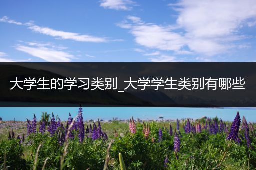 大学生的学习类别_大学学生类别有哪些