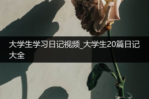 大学生学习日记视频_大学生20篇日记大全