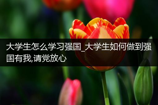 大学生怎么学习强国_大学生如何做到强国有我,请党放心