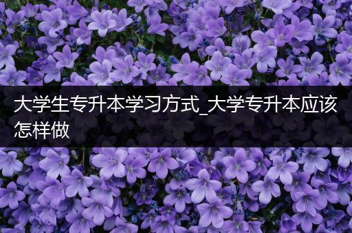 大学生专升本学习方式_大学专升本应该怎样做