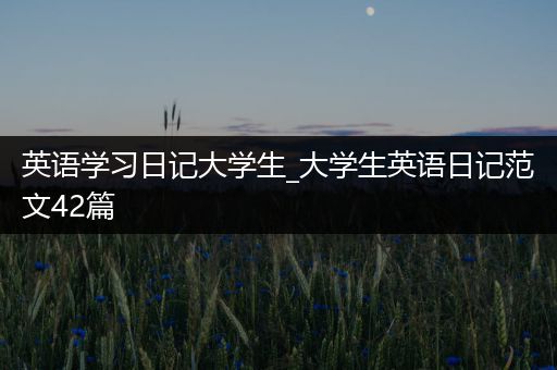 英语学习日记大学生_大学生英语日记范文42篇