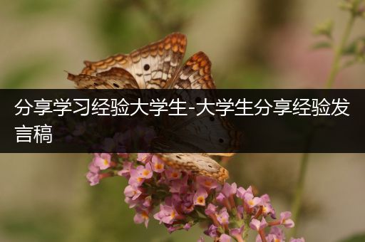 分享学习经验大学生-大学生分享经验发言稿