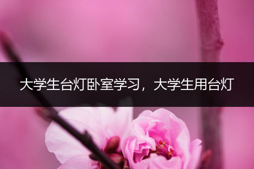 大学生台灯卧室学习，大学生用台灯