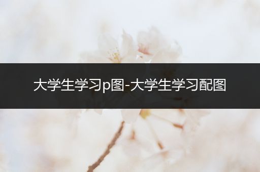 大学生学习p图-大学生学习配图