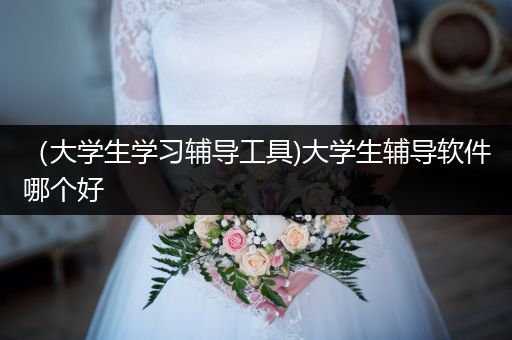 （大学生学习辅导工具)大学生辅导软件哪个好