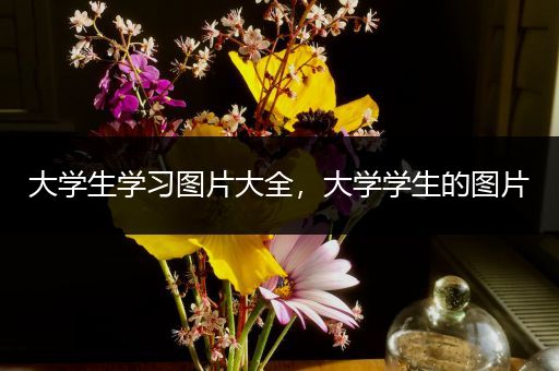 大学生学习图片大全，大学学生的图片