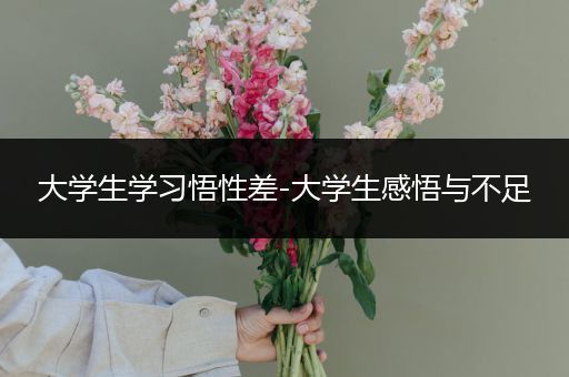 大学生学习悟性差-大学生感悟与不足