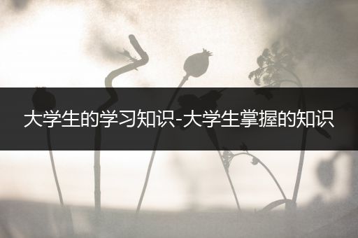 大学生的学习知识-大学生掌握的知识