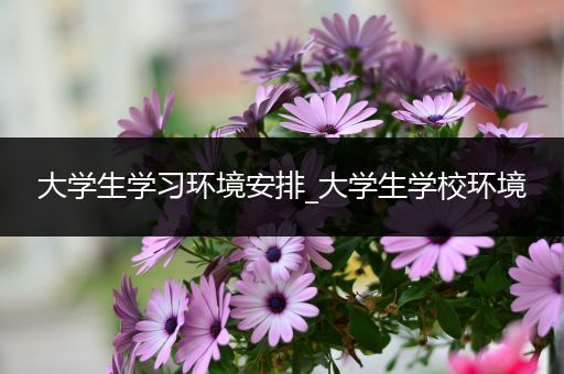 大学生学习环境安排_大学生学校环境