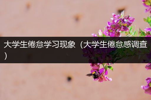 大学生倦怠学习现象（大学生倦怠感调查）