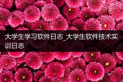 大学生学习软件日志_大学生软件技术实训日志