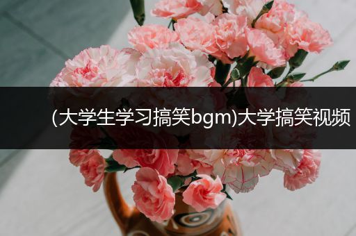 （大学生学习搞笑bgm)大学搞笑视频