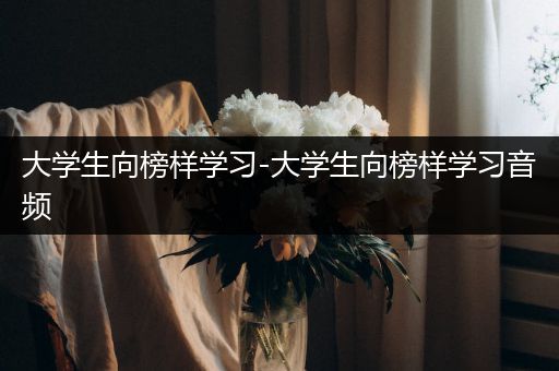 大学生向榜样学习-大学生向榜样学习音频
