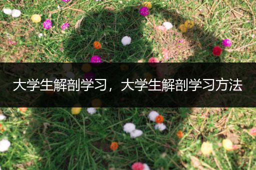大学生解剖学习，大学生解剖学习方法