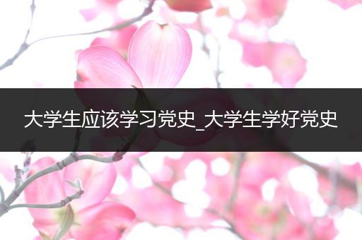 大学生应该学习党史_大学生学好党史