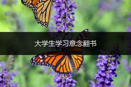 大学生学习意念翻书