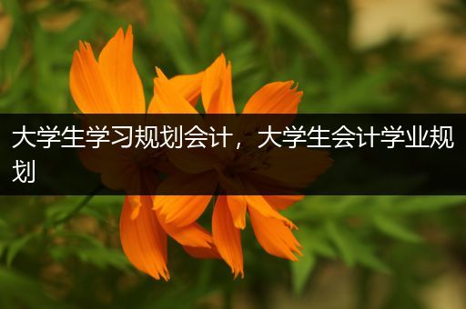 大学生学习规划会计，大学生会计学业规划