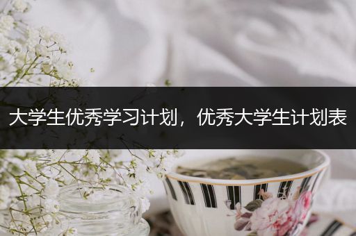 大学生优秀学习计划，优秀大学生计划表