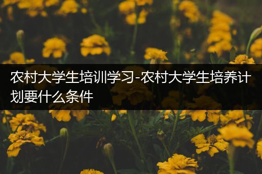 农村大学生培训学习-农村大学生培养计划要什么条件