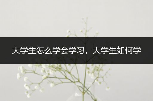 大学生怎么学会学习，大学生如何学