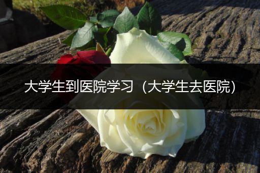 大学生到医院学习（大学生去医院）