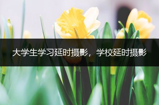 大学生学习延时摄影，学校延时摄影
