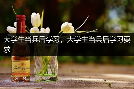大学生当兵后学习，大学生当兵后学习要求