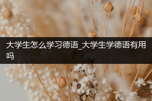 大学生怎么学习德语_大学生学德语有用吗