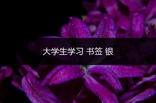 大学生学习 书签 银
