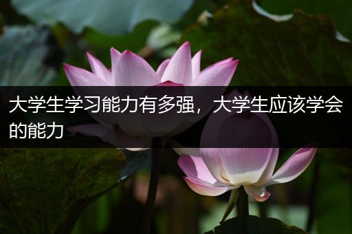 大学生学习能力有多强，大学生应该学会的能力