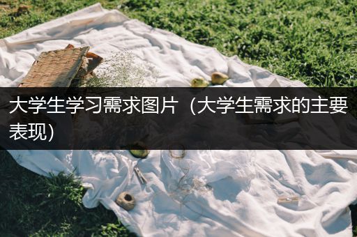 大学生学习需求图片（大学生需求的主要表现）