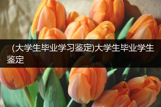（大学生毕业学习鉴定)大学生毕业学生鉴定