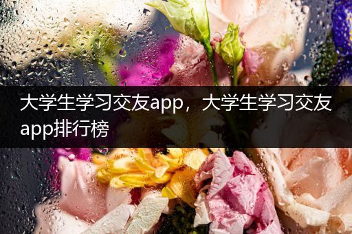 大学生学习交友app，大学生学习交友app排行榜
