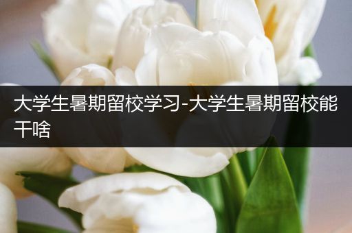 大学生暑期留校学习-大学生暑期留校能干啥