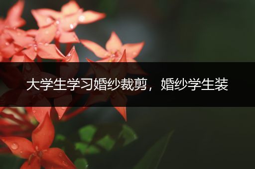 大学生学习婚纱裁剪，婚纱学生装