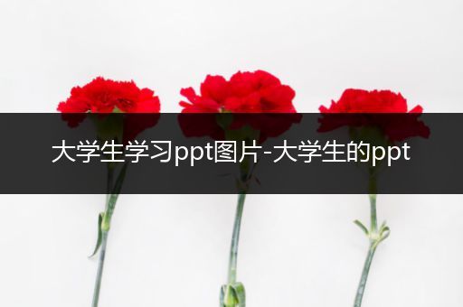 大学生学习ppt图片-大学生的ppt