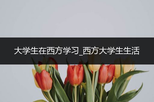 大学生在西方学习_西方大学生生活