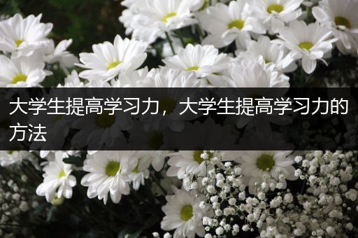 大学生提高学习力，大学生提高学习力的方法