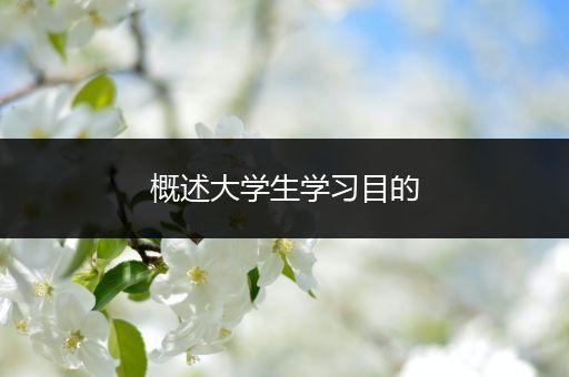 概述大学生学习目的