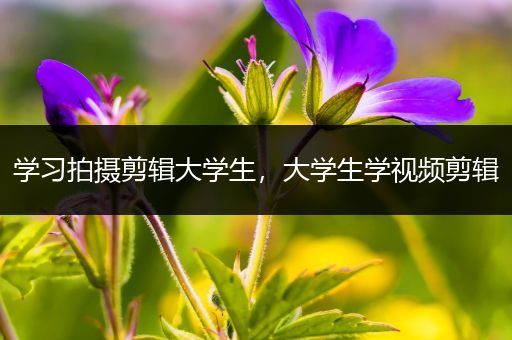 学习拍摄剪辑大学生，大学生学视频剪辑