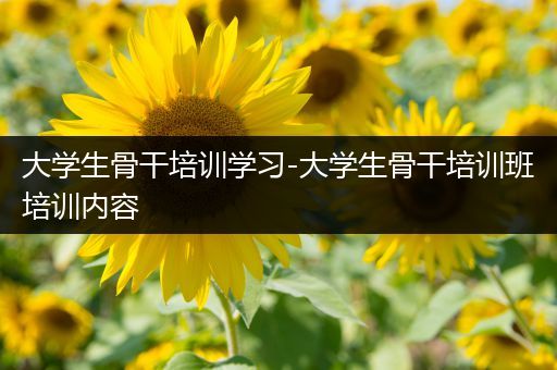 大学生骨干培训学习-大学生骨干培训班培训内容
