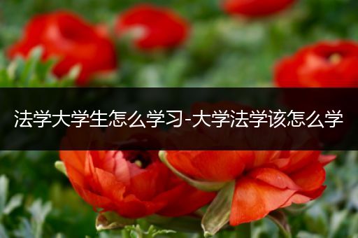 法学大学生怎么学习-大学法学该怎么学