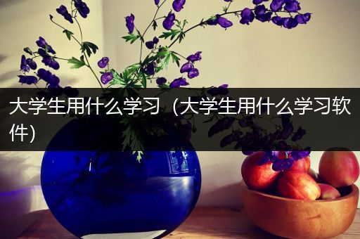 大学生用什么学习（大学生用什么学习软件）
