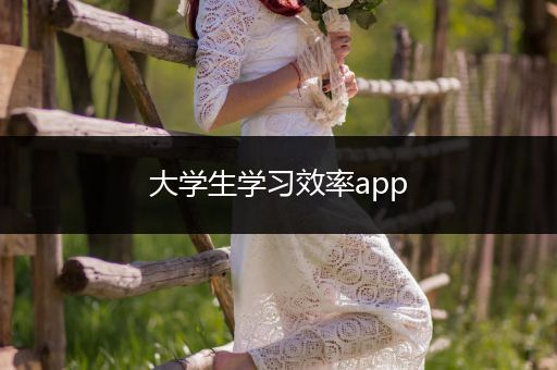 大学生学习效率app