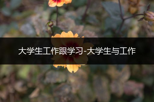 大学生工作跟学习-大学生与工作