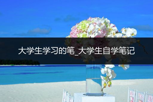 大学生学习的笔_大学生自学笔记